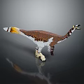 Detailed Building Blocks Dinosaur Model With Colorful Feathers And Articulated Body