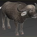 Gray Water Buffalo Standing On Green Grass With Large Curved Horns
