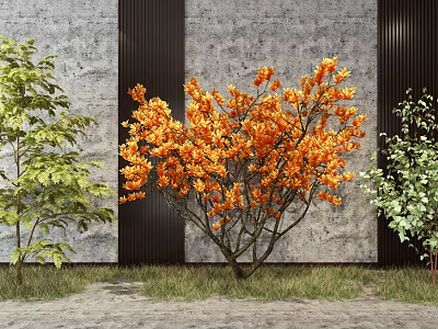 Orange Bush With Bright Orange Flowers Between Green Trees Against Gray Wall On Grass Ground 3d model