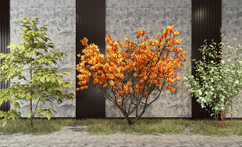 modern shrub assemblage 3d model