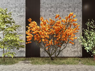 modern shrub shrub assemblage 3d model