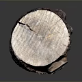 Natural Wooden Log Decorative Home Piece With Rustic Texture And Smooth Cut Surface