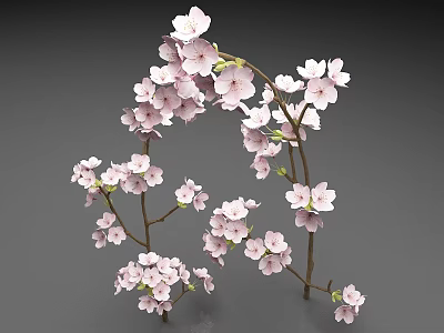 Delicate Pink Cherry Blossom Branches With Blooming Flowers On Gray Background 3d model