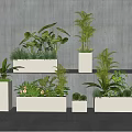 Modern Interior With White Planters And Various Green Bonsai Plants Arranged In Different Heights