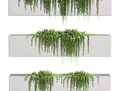 Lush Green Trailing Vines In Gray Long Planters For Decorative Wall 3d model