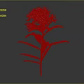Botanical White Flowering Plant with Green Leaves Red Stem and Natural Features
