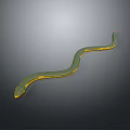 Slender Green Reptile Snake With Bright Yellow Stripes On Gray Background