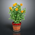 Potted Plant With Yellow Flowers And Green Leaves In Red Brown Barrel Planter