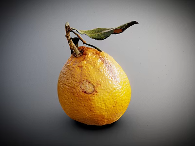 Yellow Orange with Green Leaf and Surface Spots and Blemishes on Gray Background 3d model