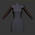 Gray Long Sleeved High Neck Dress With Color Block Design And Pleated Skirt