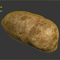 Farm Fresh Organic Potato With Natural Skin Texture And Soil Coating