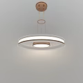 Modern Circular Chandelier With White Ring Design And Copper Pendant Lighting 3d model