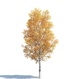 The Modern Tree 3d model