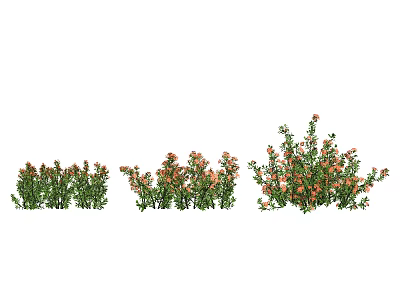 Three Clusters of Flowering Bushes with Green Leaves and Orange Blooms in Different Sizes 3d model