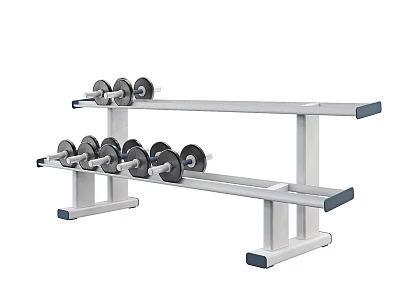 Two Tier Dumbbell Storage Rack with Multiple Weights for Home Gym Training 3d model