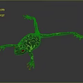 Frog Poison Frog Game Frog Reptile Cold Blooded Animal Reptile 3d model