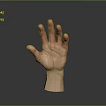 Realistic 3D Human Hand Model With Open Palm Detailed Texture And Reflection