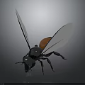 Metallic Bee with Silver Body Red Abdomen and Transparent Wings on Black Background with Reflections