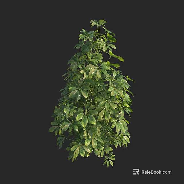 Lush Green Shrub With Dense Vibrant Foliage And Natural Growth 3d model