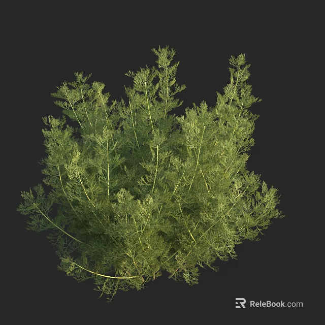 Lush Green Shrub with Dense Foliage and Vibrant Leaf Structure 3d model