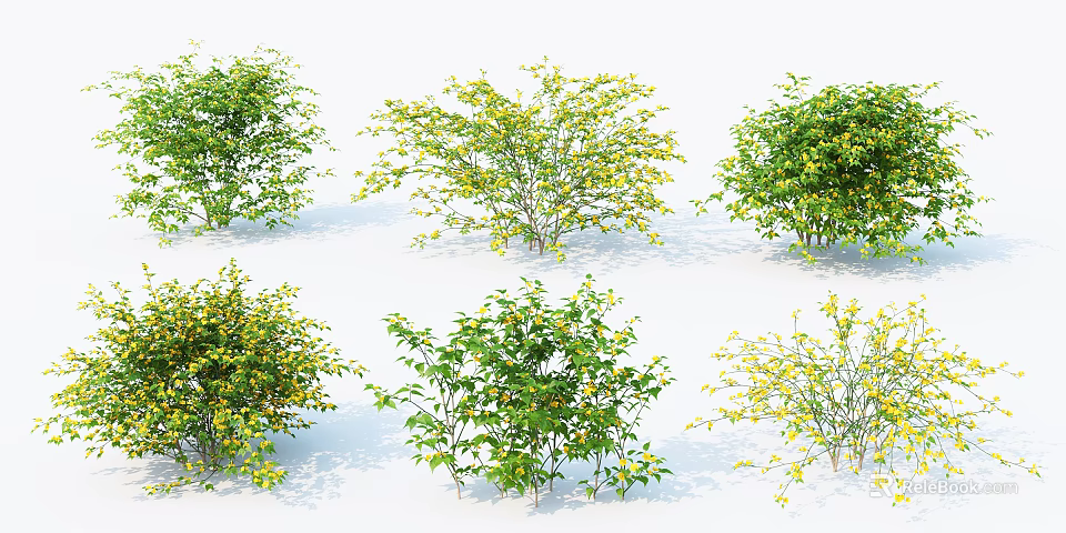 Different Types Of Garden Shrubs With Green Leaves And Yellow Flowers 3d model 