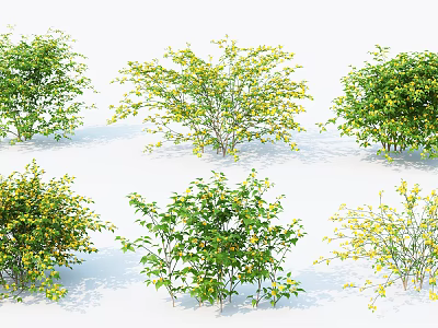 Different Types Of Garden Shrubs With Green Leaves And Yellow Flowers 3d model