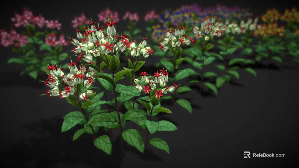 Vibrant Flowering Garden Plants with Green Leaves and White Red Clustered Flowers Against Dark Background 3d model 