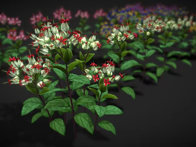 Vibrant Flowering Garden Plants with Green Leaves and White Red Clustered Flowers Against Dark Background 3d model
