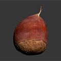 Fresh Organic Red Beetroot Vegetable Close Up With Shiny Surface On Dark Background