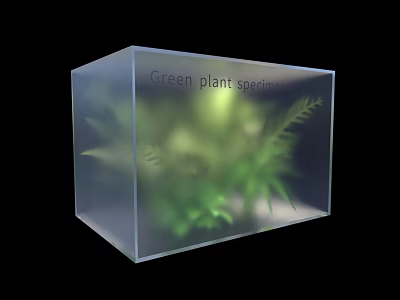 Green Plant Specimens Growing Inside Transparent Cube Container with Fresh Leaves 3d model