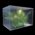Green Plant Specimens Growing Inside Transparent Cube Container with Fresh Leaves 3d model