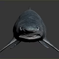 Realistic Blue Shark 3D Model Featuring Reflective Skin On Grey Background 3d model