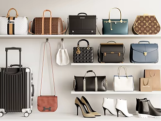 Modern Bags Women's Bags Luggage Shoes 3d model