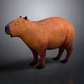 Brown Capybara Standing On Simple Gray Background With 3D Rendered Details 3d model