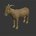 Brown Goat With Horns Standing On Dark Background Full Body View