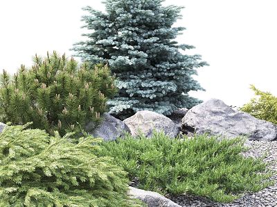 Modern landscape sketch outdoor stone green plant 3d model