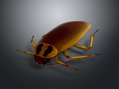 Detailed 3D Rendering Of Cockroach With Brown Exoskeleton Yellow Legs And Dark Background 3d model