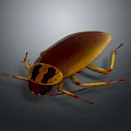 Detailed 3D Rendering Of Cockroach With Brown Exoskeleton Yellow Legs And Dark Background