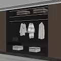 Modern Wooden Wardrobe Interior With Hanging Area Storage Boxes And Handbag