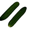 Two Fresh Green Striped Cucumbers Healthy Vegetables for Daily Salads