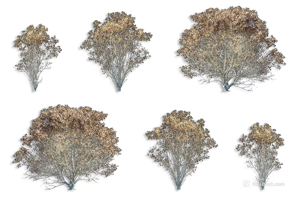 Various Arbor Trees Displaying Diverse Foliage Shapes And Branch Structures 3d model
