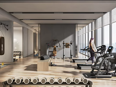 Modern Gym Interior With Treadmill Dumbbells Punching Bag And Large Windows 3d model