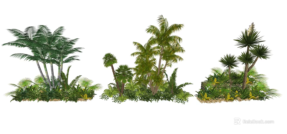 Various Tropical Arbor Trees with Palm Ferns Shrubs and Lush Green Ground Cover 3d model 