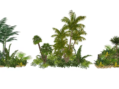 Various Tropical Arbor Trees with Palm Ferns Shrubs and Lush Green Ground Cover 3d model