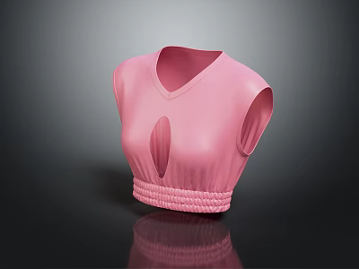 Pink Sleeveless Crop Top With V Neck Cutout Design And Braided Waistband 3d model