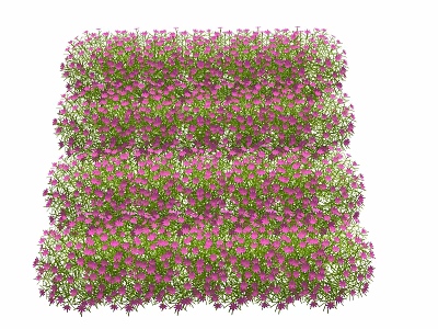 Modern Garden Flower Plants 3d model