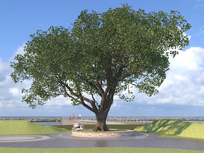 Large Deciduous Tree With Green Foliage In Park Area Under Blue Sky 3d model