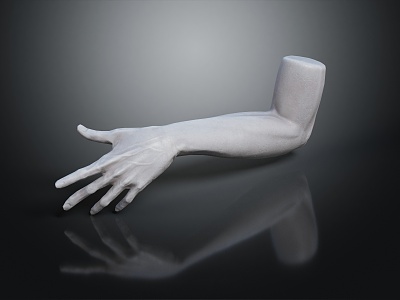 Modern Arm Man Arm 3d model