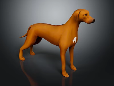 Brown Dog with White Chest Marking Standing on Dark Background in 3D Render 3d model