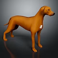 Brown Dog with White Chest Marking Standing on Dark Background in 3D Render